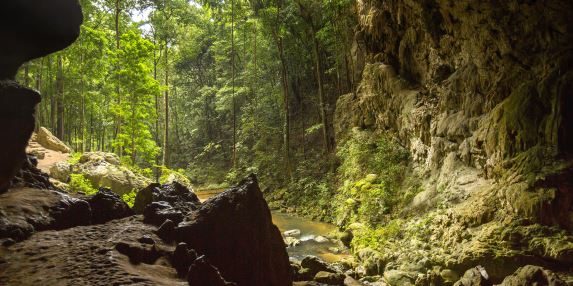 Discover Belize