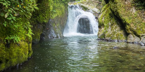 Ecosystems of Ecuador