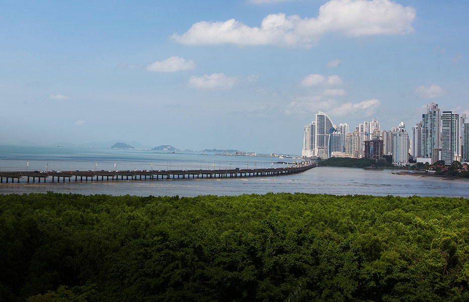 teacher travel groups experiencing beautiful Panama scenery