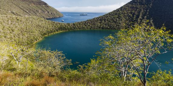 Journey Through the Galápagos