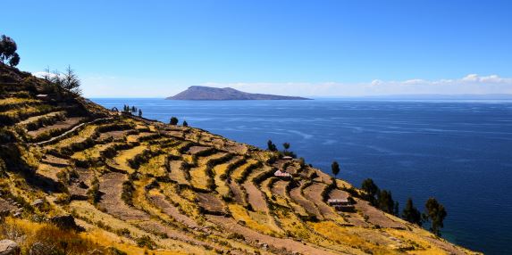 Language Immersion Through Peru