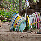 Surfing lesson